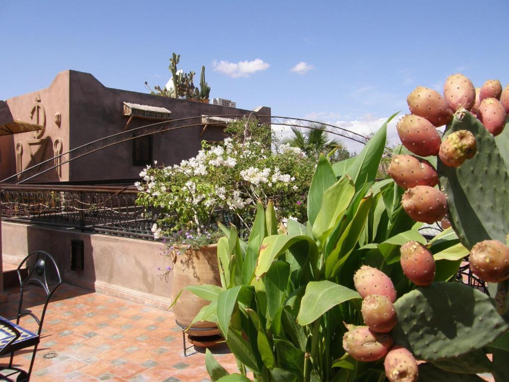 Riad Mehdia Marrakesh Exteriör bild