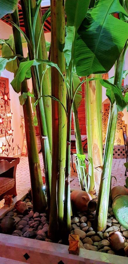 Riad Mehdia Marrakesh Exteriör bild