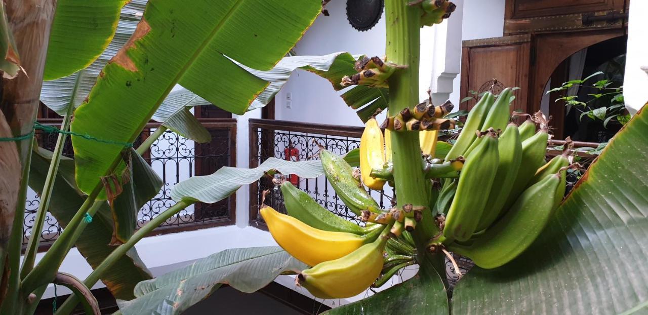 Riad Mehdia Marrakesh Exteriör bild
